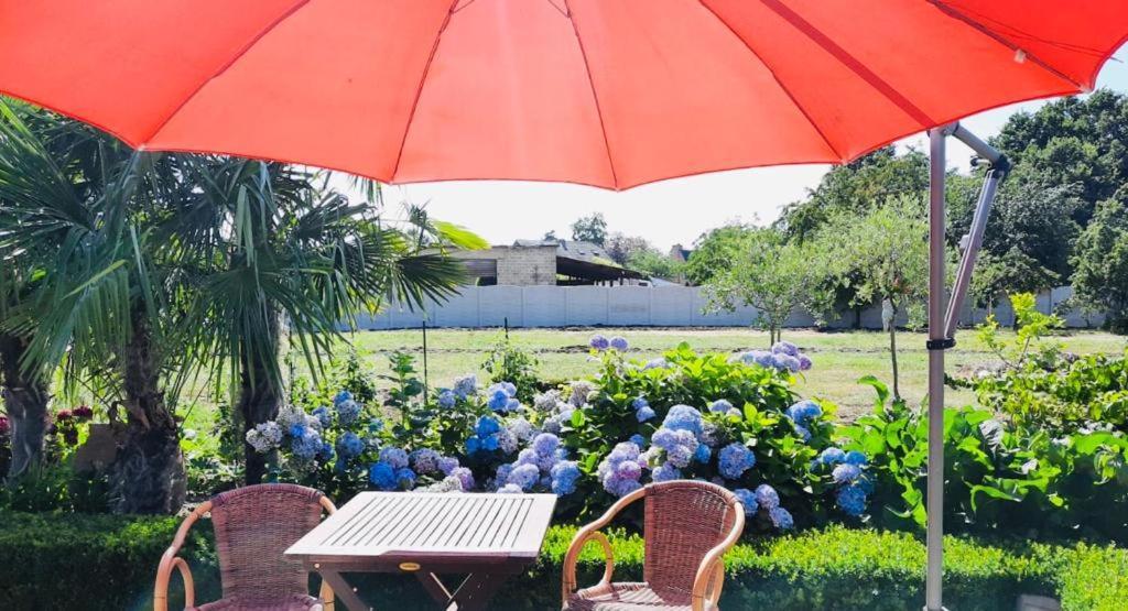 B&B Casa Roman & Vakantiewoning Voor 1 Pers Tot Max 32 Personen Zonhoven Bagian luar foto