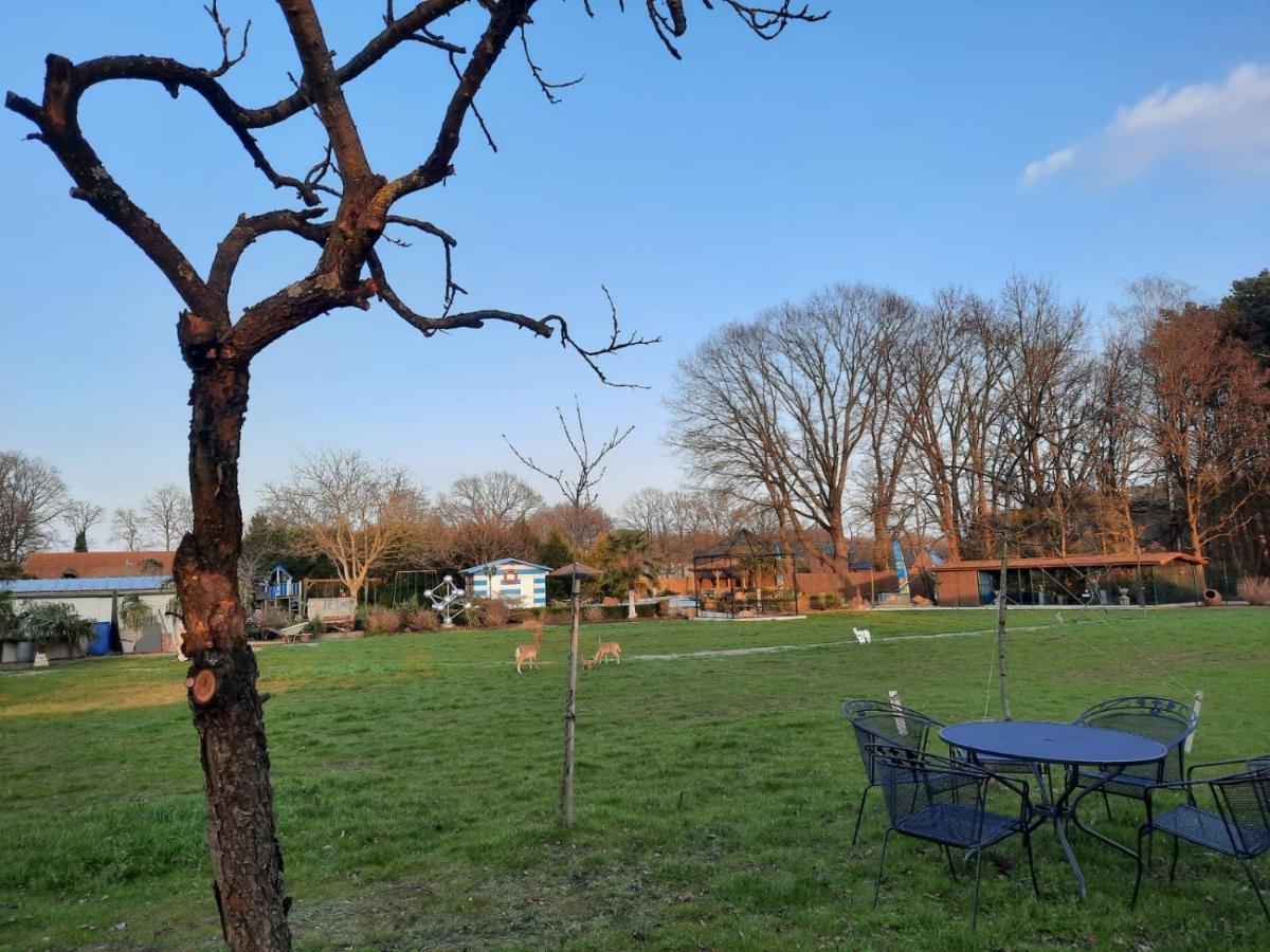 B&B Casa Roman & Vakantiewoning Voor 1 Pers Tot Max 32 Personen Zonhoven Bagian luar foto