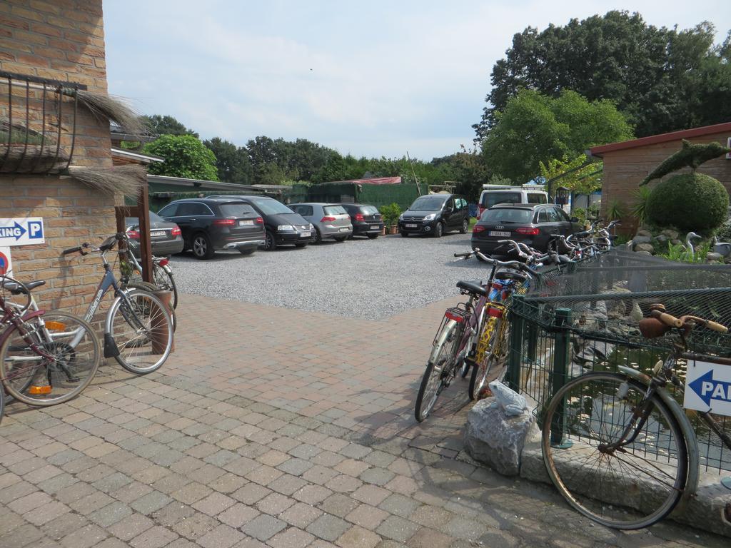 B&B Casa Roman & Vakantiewoning Voor 1 Pers Tot Max 32 Personen Zonhoven Bagian luar foto